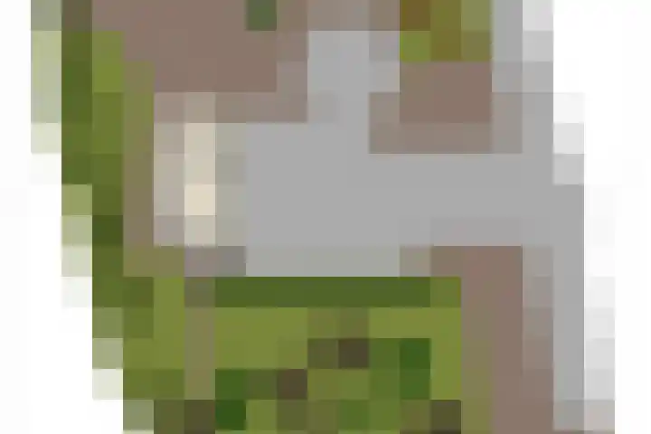 Hoge Morsweg 138 S Leiden thumbnail 47