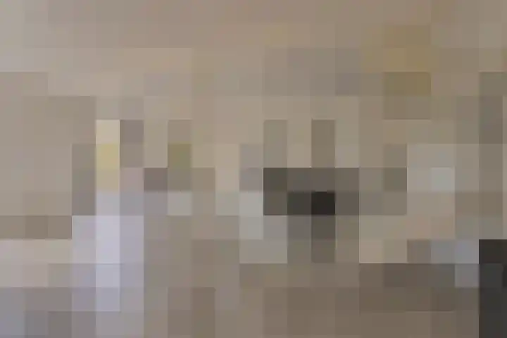 Hoge Morsweg 138 S Leiden thumbnail 7