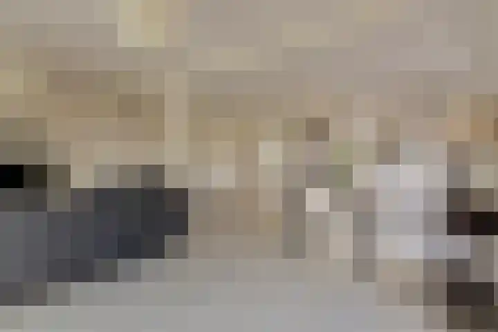 Hoge Morsweg 138 S Leiden thumbnail 8
