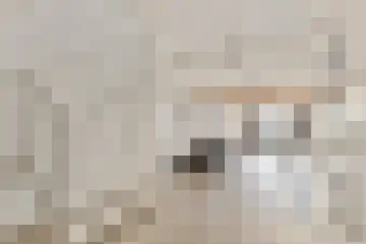 Hoge Morsweg 138 V Leiden thumbnail 11