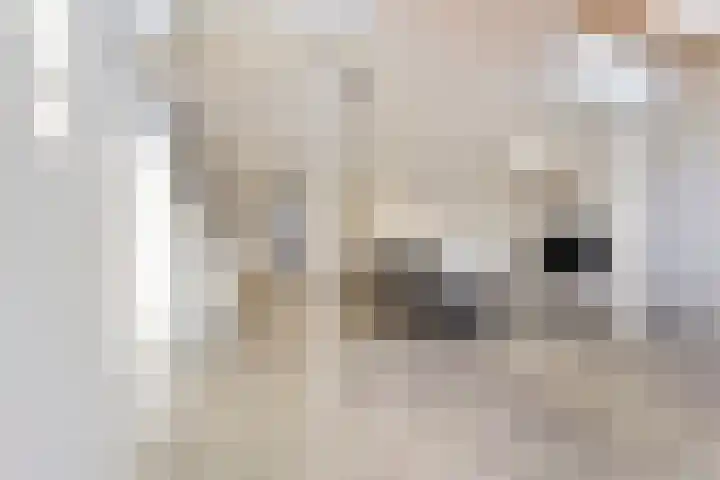 Hoge Morsweg 138 V Leiden thumbnail 13
