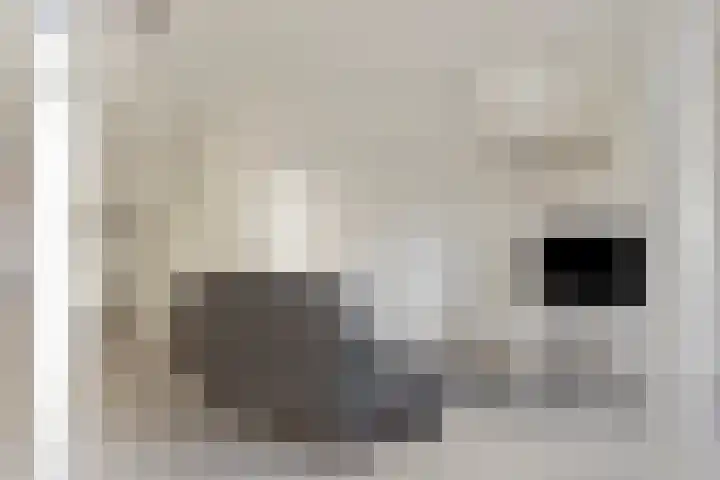 Hoge Morsweg 138 V Leiden thumbnail 14
