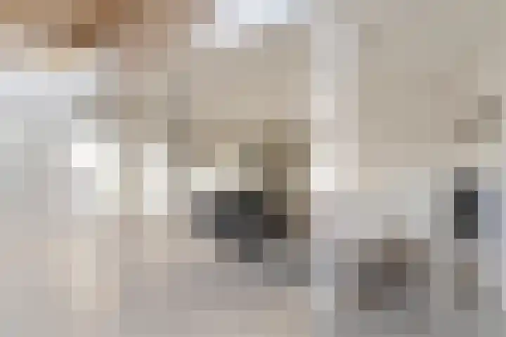 Hoge Morsweg 138 V Leiden thumbnail 16