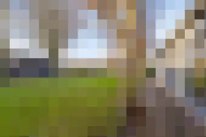 Hoge Morsweg 138 V Leiden thumbnail 34