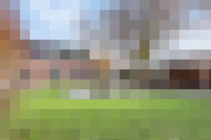 Hoge Morsweg 138 V Leiden thumbnail 35