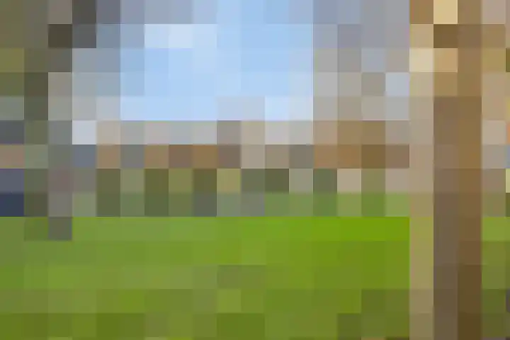 Hoge Morsweg 138 V Leiden thumbnail 37