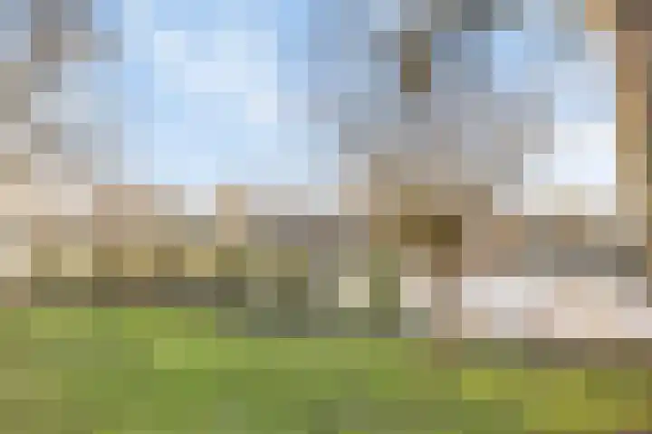 Hoge Morsweg 138 V Leiden thumbnail 38