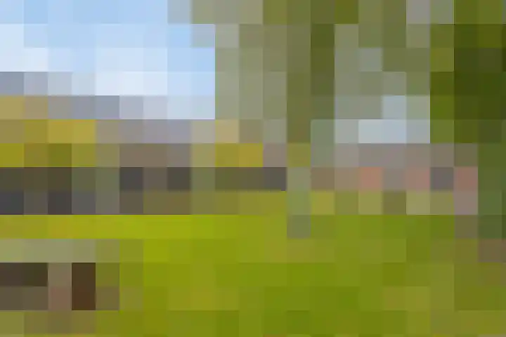 Hoge Morsweg 138 V Leiden thumbnail 40