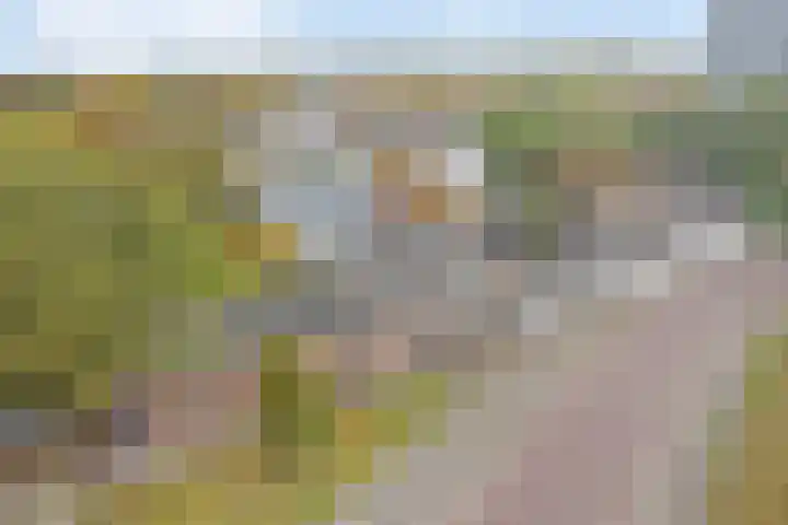 Hoge Morsweg 138 V Leiden thumbnail 41