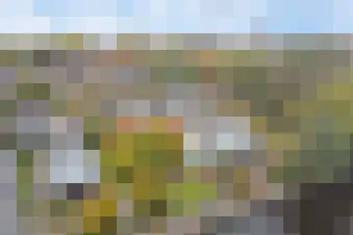 Hoge Morsweg 138 V Leiden thumbnail 42