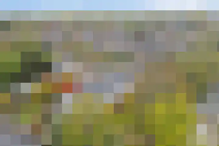 Hoge Morsweg 138 V Leiden thumbnail 43