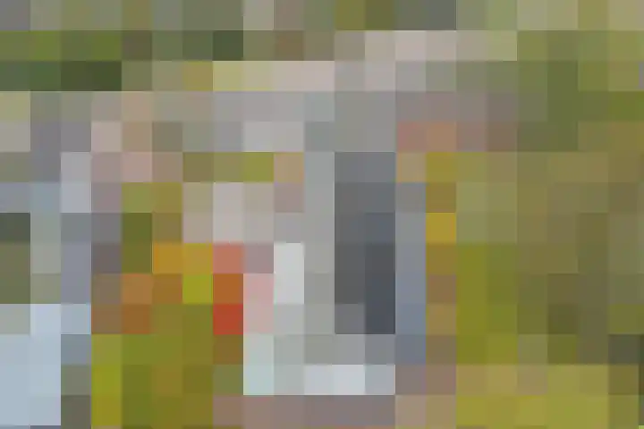 Hoge Morsweg 138 V Leiden thumbnail 44