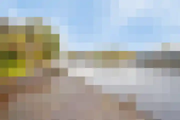 Hoge Morsweg 138 V Leiden thumbnail 48