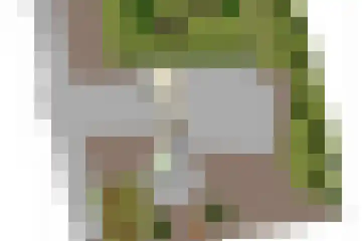 Hoge Morsweg 138 V Leiden thumbnail 56