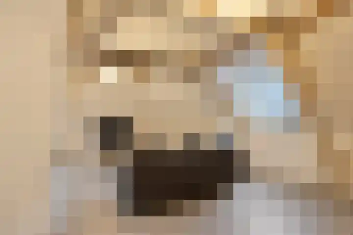 Hoge Morsweg 138 W Leiden thumbnail 16