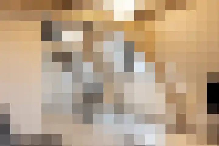 Hoge Morsweg 138 W Leiden thumbnail 17