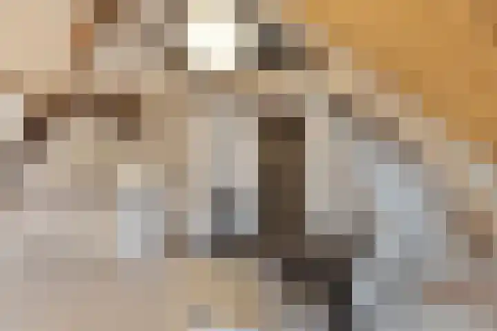 Hoge Morsweg 138 W Leiden thumbnail 18