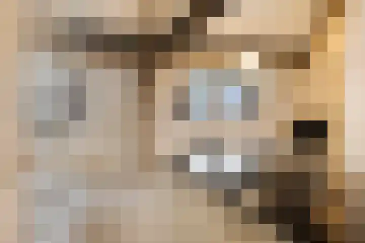 Hoge Morsweg 138 W Leiden thumbnail 21