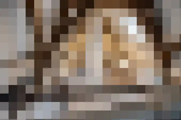 Hoge Morsweg 138 W Leiden thumbnail 23