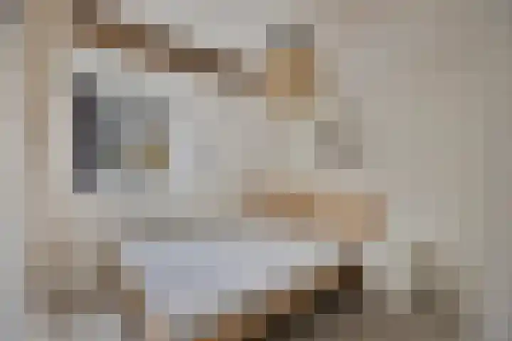 Hoge Morsweg 138 W Leiden thumbnail 25