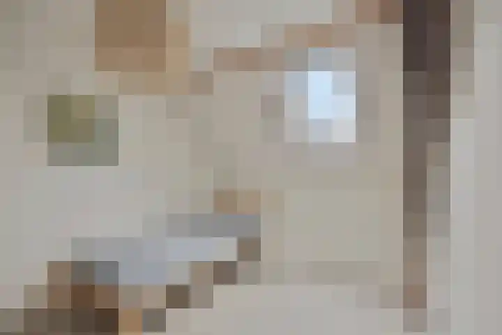Hoge Morsweg 138 W Leiden thumbnail 26