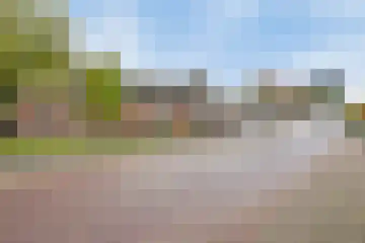 Hoge Morsweg 138 W Leiden thumbnail 30