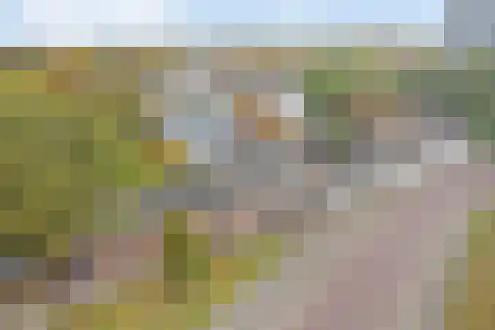 Hoge Morsweg 138 W Leiden thumbnail 31