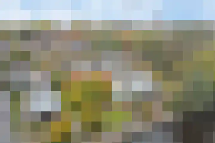 Hoge Morsweg 138 W Leiden thumbnail 32