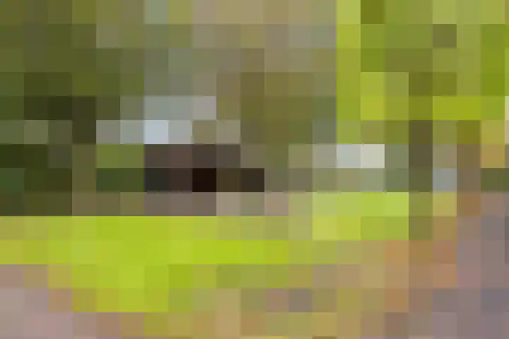 Hoge Morsweg 138 W Leiden thumbnail 37