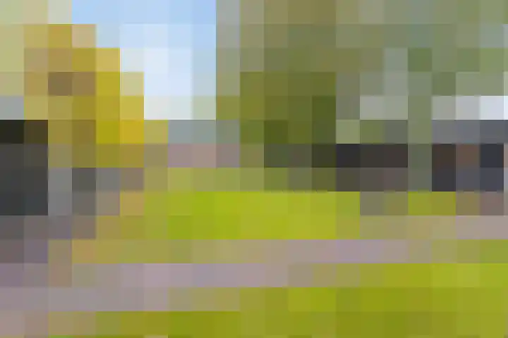 Hoge Morsweg 138 W Leiden thumbnail 38