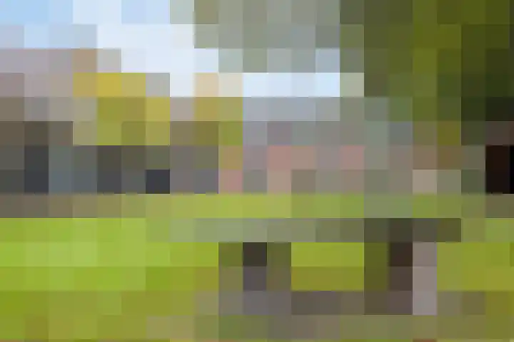 Hoge Morsweg 138 W Leiden thumbnail 39