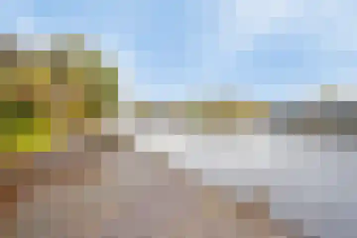 Hoge Morsweg 138 W Leiden thumbnail 41