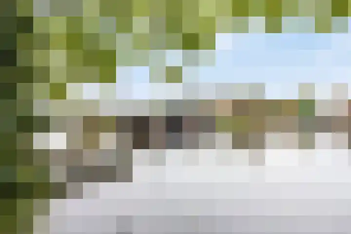 Hoge Morsweg 138 W Leiden thumbnail 43
