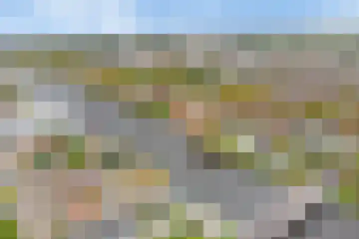 Hoge Morsweg 138 W Leiden thumbnail 45
