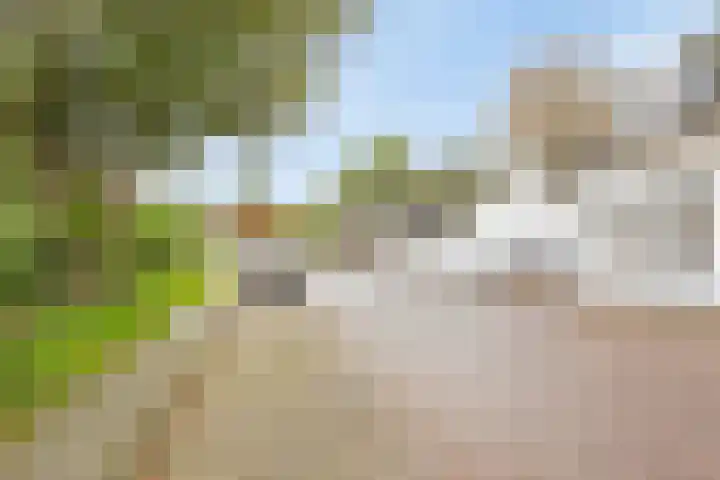 Hoge Morsweg 138 W Leiden thumbnail 46