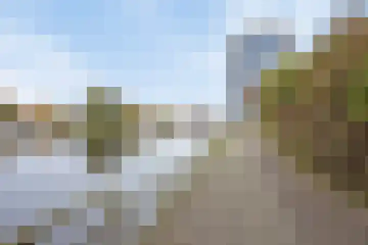 Hoge Morsweg 138 W Leiden thumbnail 48