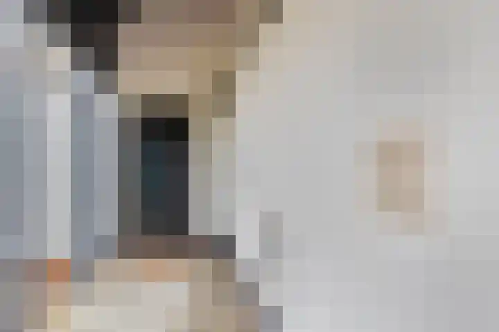 Hoge Morsweg 138 W Leiden thumbnail 5