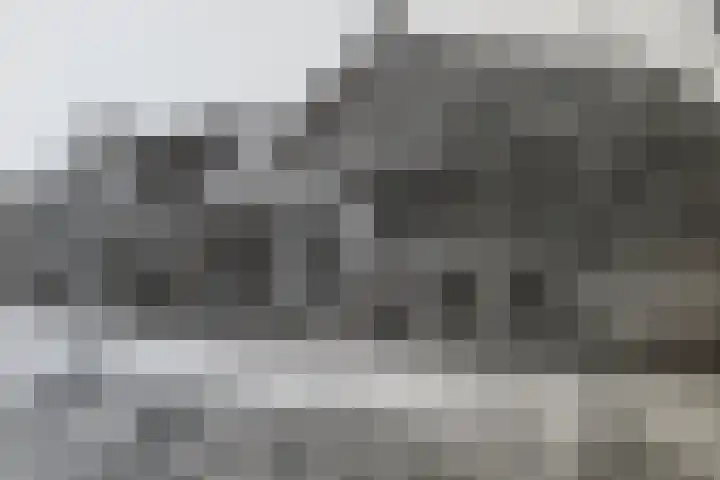 Hoge Morsweg 138 W Leiden thumbnail 50