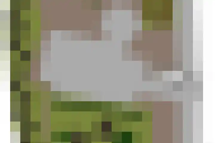 Hoge Morsweg 138 W Leiden thumbnail 57