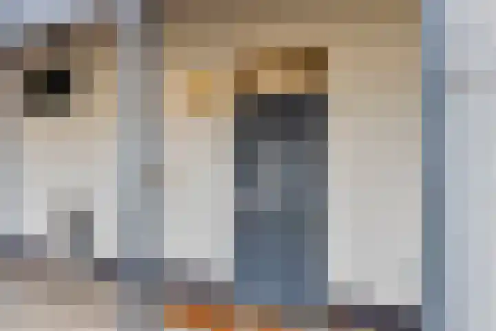 Hoge Morsweg 138 W Leiden thumbnail 6