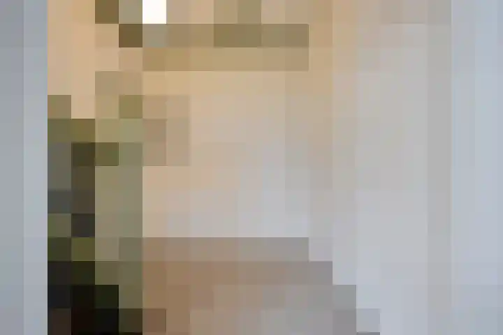 Hoge Morsweg 138 W Leiden thumbnail 7