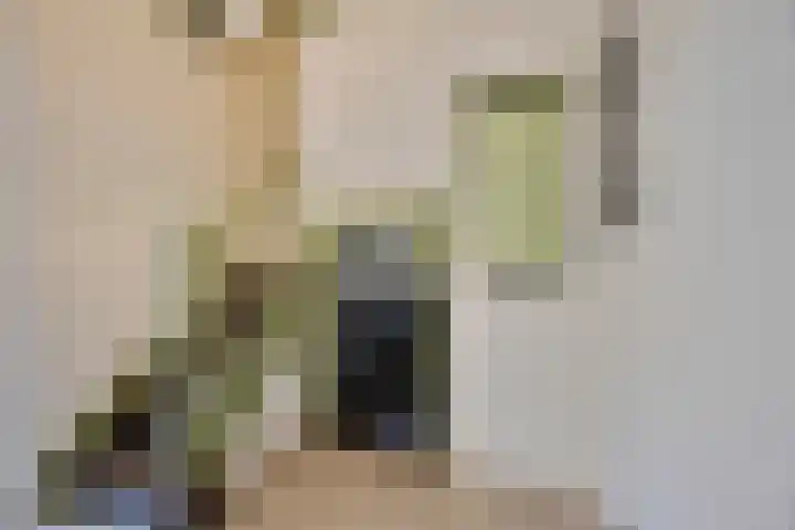 Hoge Morsweg 138 W Leiden thumbnail 8