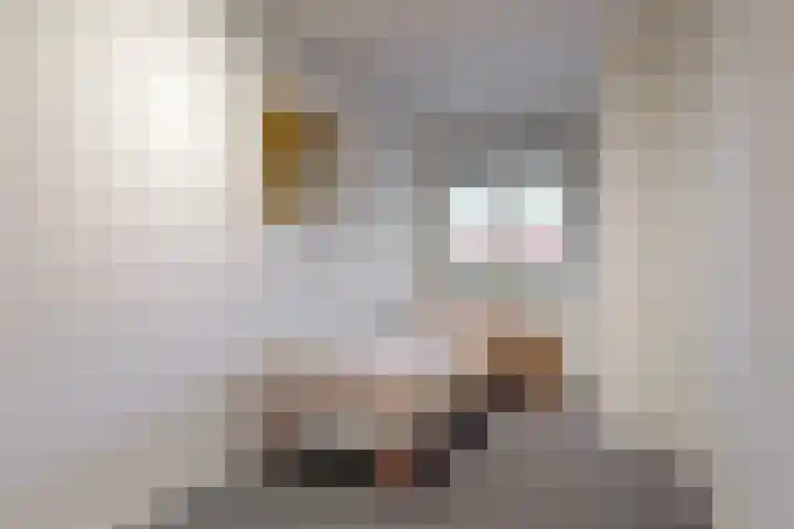 Hoge Morsweg 82 D Leiden thumbnail 30