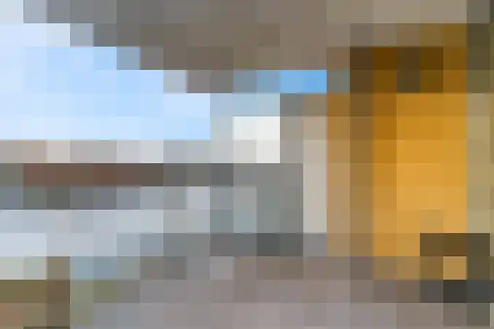Hoge Morsweg 82 D Leiden thumbnail 34