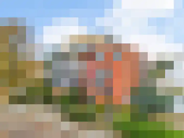 Hoge Morsweg 82 D Leiden thumbnail 43