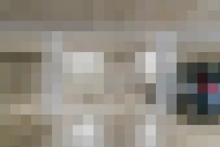 Hoge Morsweg 82 D Leiden thumbnail 48