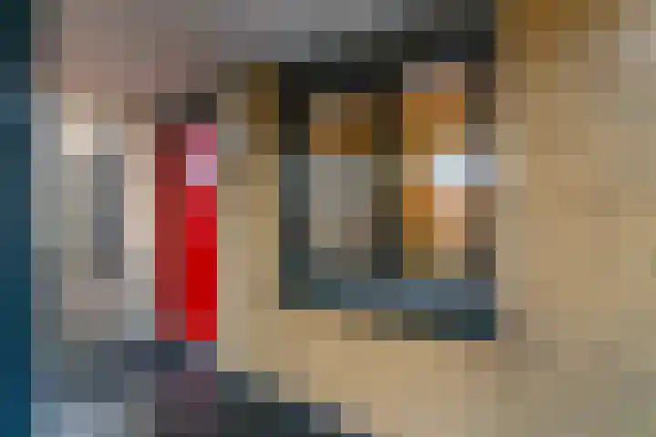 Hoge Morsweg 82 D Leiden thumbnail 7