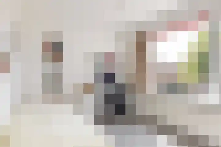 Hoge Morsweg 91 Leiden thumbnail 18