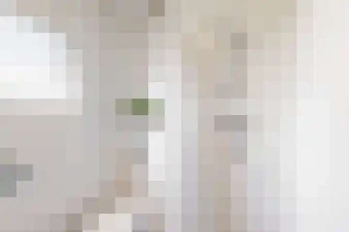 Hoge Morsweg 91 Leiden thumbnail 20
