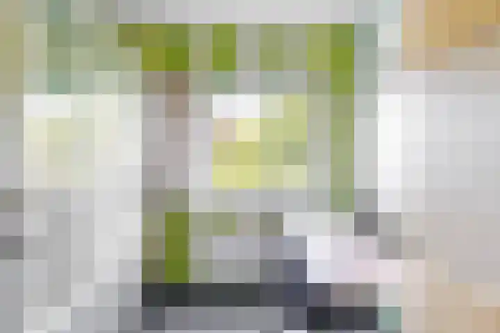 Hoge Morsweg 91 Leiden thumbnail 25